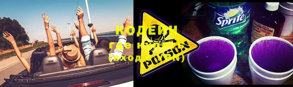 PSILOCYBIN Каменногорск