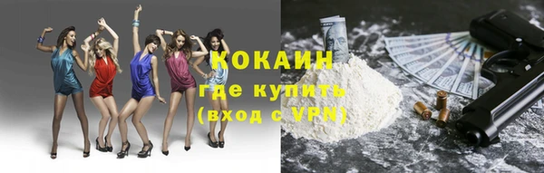 соль ск Каменка
