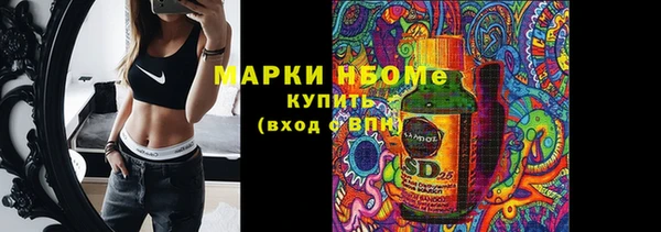 соль ск Каменка