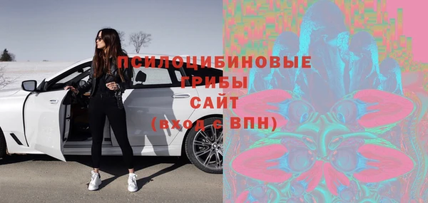 соль ск Каменка