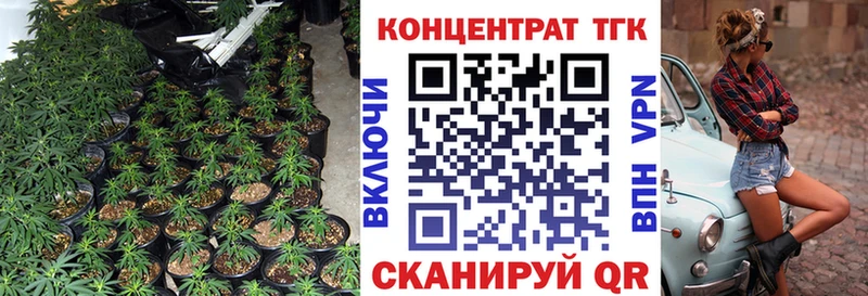 Купить закладки  Шадринск  ТГК жижа 